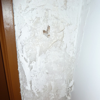 Rijksdienst voor het Cultureel Erfgoed: Bogers, Guido