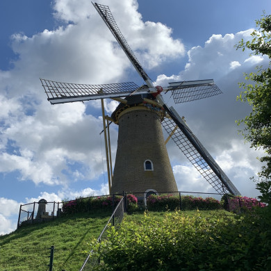 Rijksdienst voor het Cultureel Erfgoed: Bogers, Guido