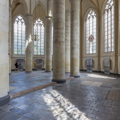 Rijksdienst voor het Cultureel Erfgoed: Schaap, Marchje