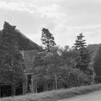 Rijksdienst voor het Cultureel Erfgoed: Schellekens, P.C.