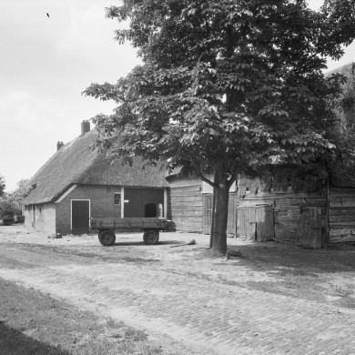 Rijksdienst voor het Cultureel Erfgoed: Delemarre, G.Th.