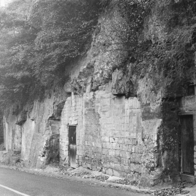 Rijksdienst voor het Cultureel Erfgoed: Delemarre, G.Th.