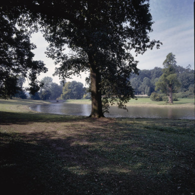 Rijksdienst voor het Cultureel Erfgoed: Galen, P. (Paul) van