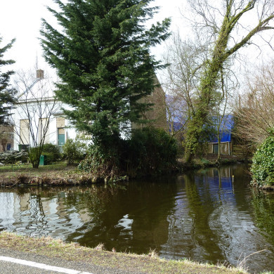 Rijksdienst voor het Cultureel Erfgoed: Bogers, Guido