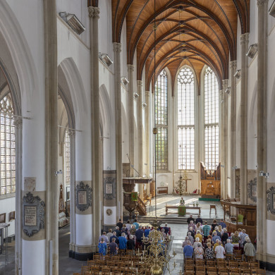 Rijksdienst voor het Cultureel Erfgoed: Schaap, Marchje