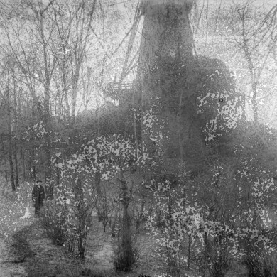 Rijksdienst voor het Cultureel Erfgoed