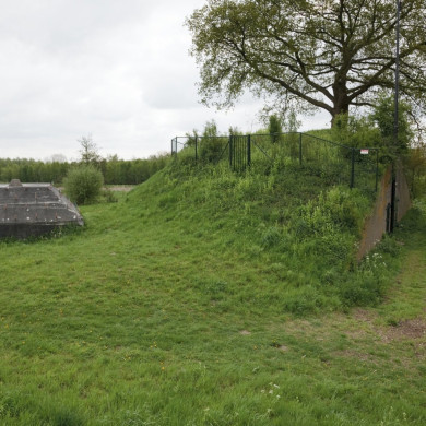 Rijksdienst voor het Cultureel Erfgoed
