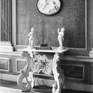 Rijksdienst voor het Cultureel Erfgoed: Delemarre, G.Th.