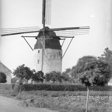 Rijksdienst voor het Cultureel Erfgoed