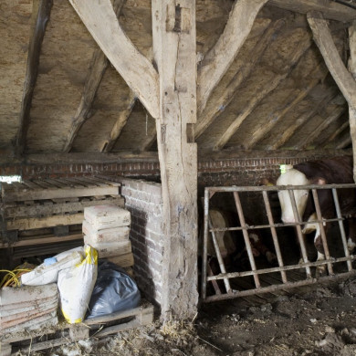 Rijksdienst voor het Cultureel Erfgoed: Booms, C.S. (Chris)
