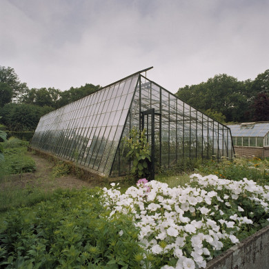 Rijksdienst voor het Cultureel Erfgoed: Heins, IJ.Th.