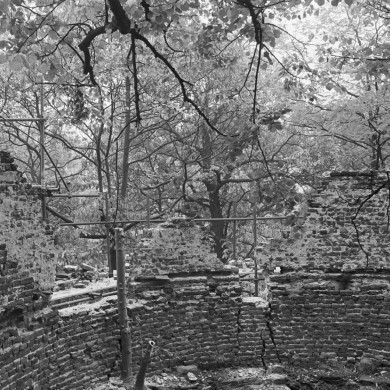 Rijksdienst voor het Cultureel Erfgoed: Tangel, L.M.