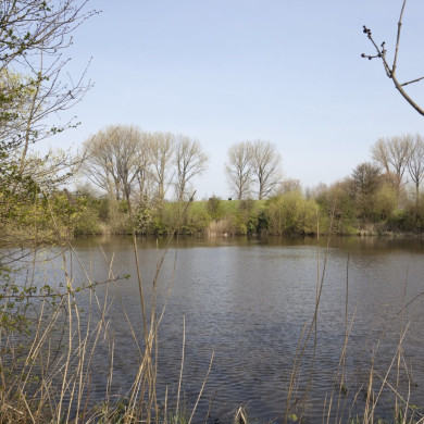 Rijksdienst voor het Cultureel Erfgoed: Galen, P. (Paul) van-Booms, C.S. (Chris)