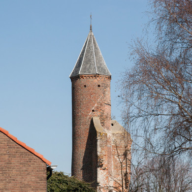 Rijksdienst voor het Cultureel Erfgoed: Speelman, Albert