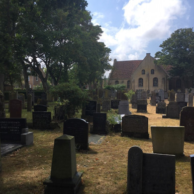 Rijksdienst voor het Cultureel Erfgoed: Dolfin, M. en Erkelens, M.