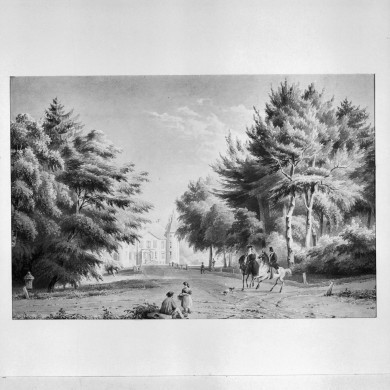 Rijksdienst voor het Cultureel Erfgoed: Galen, P. van