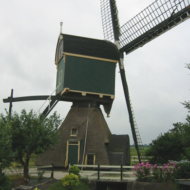 Rijksdienst voor het Cultureel Erfgoed: Terpstra, Frank