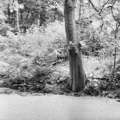 Rijksdienst voor het Cultureel Erfgoed: Wal, A.J. van der