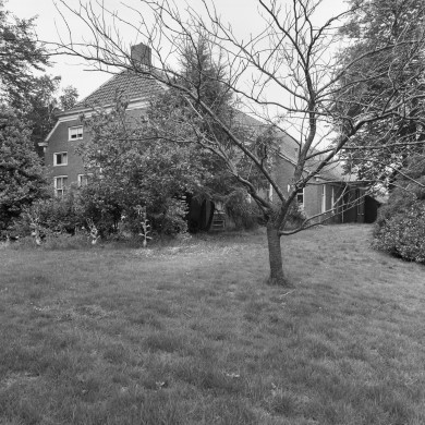 Rijksdienst voor het Cultureel Erfgoed: Schollen, T.