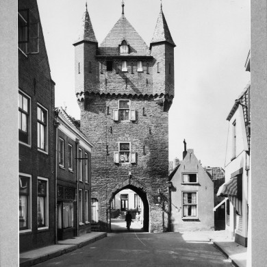 Rijksdienst voor het Cultureel Erfgoed: Delemarre, G.Th.