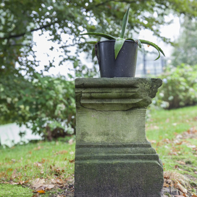 Rijksdienst voor het Cultureel Erfgoed: Sar, Wouter van der