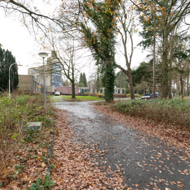 Rijksdienst voor het Cultureel Erfgoed: Sekuur, Mark