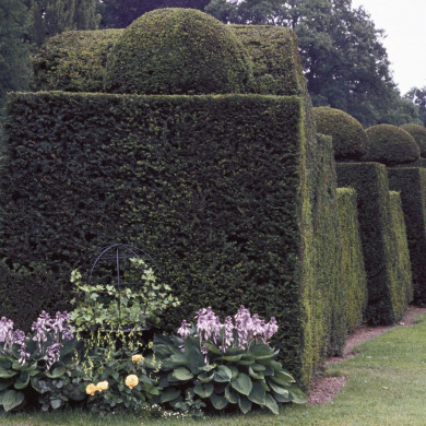 Rijksdienst voor het Cultureel Erfgoed: Heuff M. (Marijke)