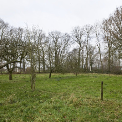 Rijksdienst voor het Cultureel Erfgoed: Booms, C.S. (Chris)