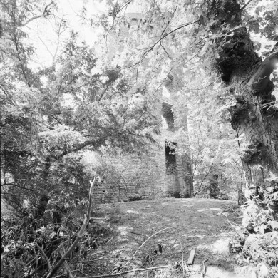 Rijksdienst voor het Cultureel Erfgoed: Galen, P. (Paul) van