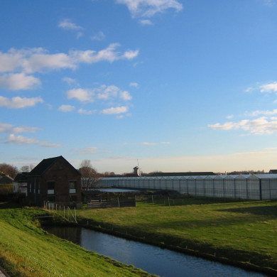 Rijksdienst voor het Cultureel Erfgoed: Terpstra, Frank