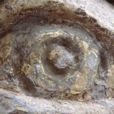 Rijksdienst voor het Cultureel Erfgoed: Dukker, G.J.