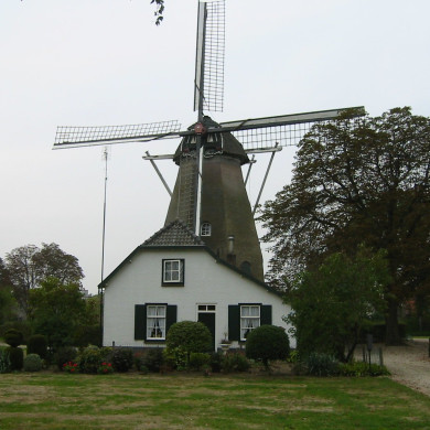 Rijksdienst voor het Cultureel Erfgoed: Terpstra, Frank