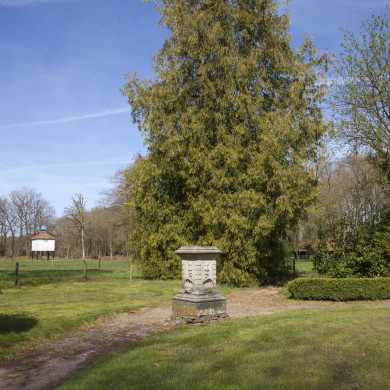 Rijksdienst voor het Cultureel Erfgoed: Sar, Wouter van der
