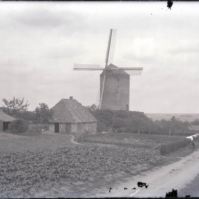 Rijksdienst voor het Cultureel Erfgoed: Uilkema, Klaas