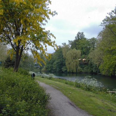 Rijksdienst voor het Cultureel Erfgoed: Wal, A.J. van der
