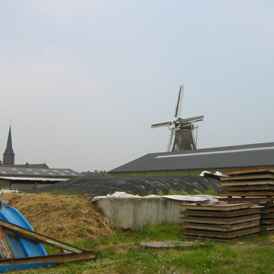 Rijksdienst voor het Cultureel Erfgoed: Terpstra, Frank