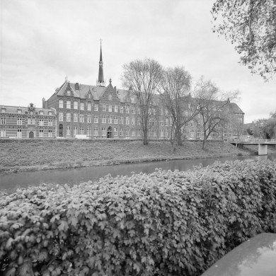 Rijksdienst voor het Cultureel Erfgoed: Heins, IJ.Th.