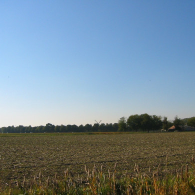 Rijksdienst voor het Cultureel Erfgoed: Terpstra, Frank
