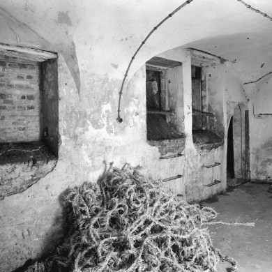 Rijksdienst voor het Cultureel Erfgoed: Delemarre, G.Th.