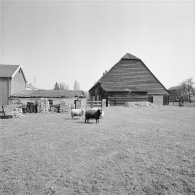 Rijksdienst voor het Cultureel Erfgoed: Galen, P. van
