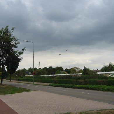 Rijksdienst voor het Cultureel Erfgoed: Terpstra, Frank