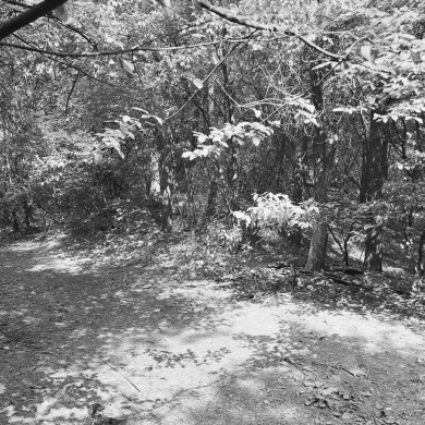 Rijksdienst voor het Cultureel Erfgoed: Galen, P. (Paul) van