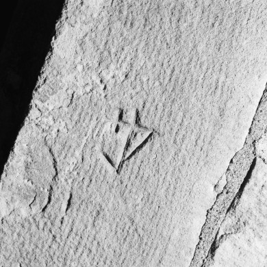 Rijksdienst voor het Cultureel Erfgoed: Wal, A.J. van der