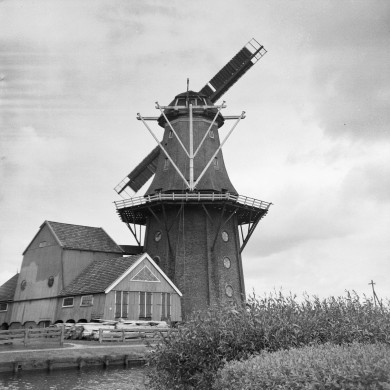 Rijksdienst voor het Cultureel Erfgoed: Dijkstra