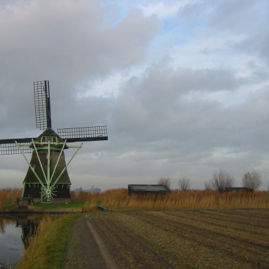 Rijksdienst voor het Cultureel Erfgoed: Terpstra, Frank
