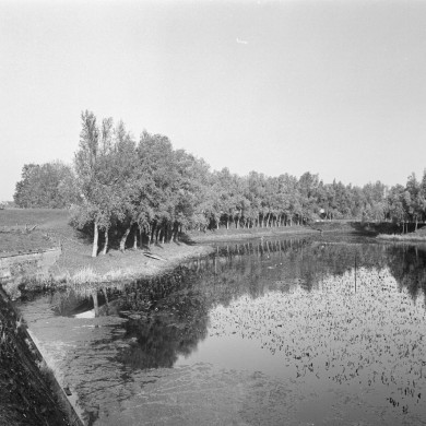 Rijksdienst voor het Cultureel Erfgoed: Tangel, L.M.
