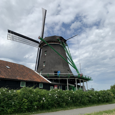Rijksdienst voor het Cultureel Erfgoed: Bogers, Guido