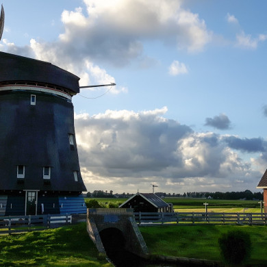 Rijksdienst voor het Cultureel Erfgoed: Raap, E. (Edwin)