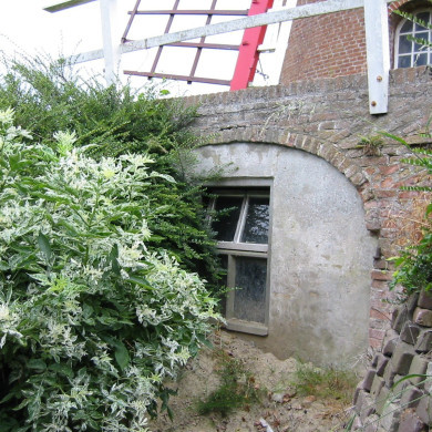 Rijksdienst voor het Cultureel Erfgoed: Terpstra, Frank