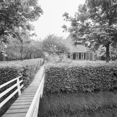 Rijksdienst voor het Cultureel Erfgoed: Heins, IJ.Th.